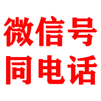 洛扎金顺追账公司